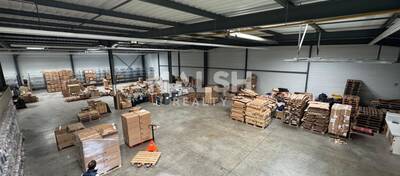 REXIM - Local d'activités - Loire - Andrézieux-Bouthéon - 5