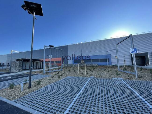 REXIM - Local d'activités - Haute-Garonne - Toulouse - 1