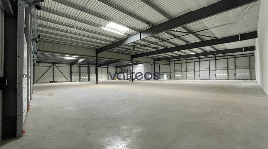 REXIM - Local d'activités - Haute-Garonne - Toulouse - 3