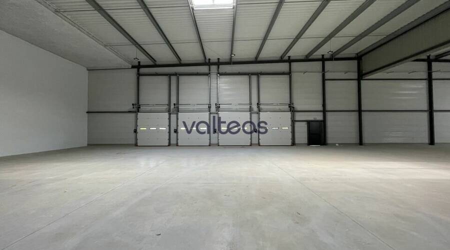 REXIM - Local d'activités - Haute-Garonne - Toulouse - 4