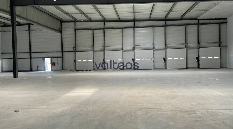 REXIM - Local d'activités - Haute-Garonne - Toulouse - 5