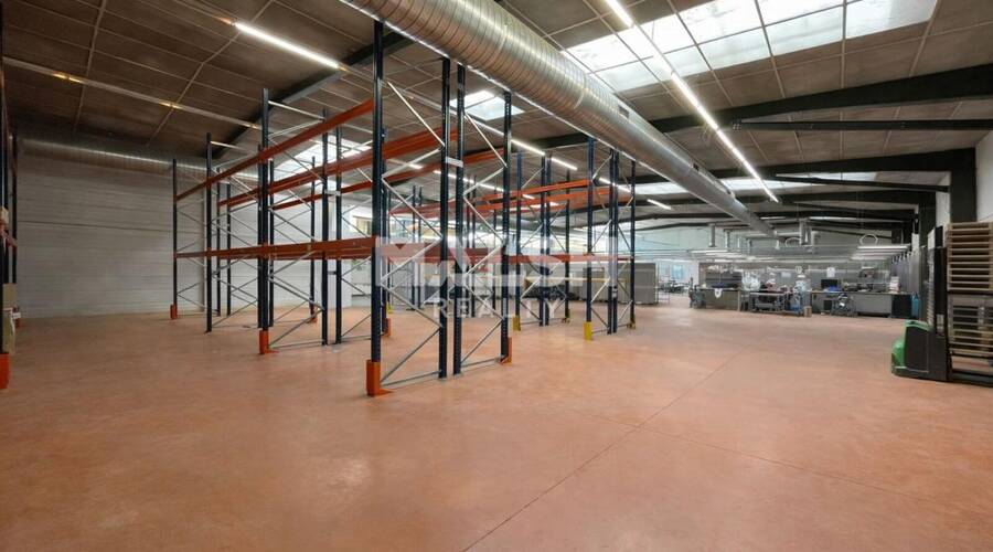 REXIM - Local d'activités - Rhône - Champagne-au-Mont-d'Or - 3