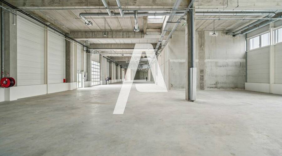 REXIM - Entrepôt - Vitry-sur-Seine - 4