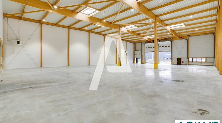 REXIM - Entrepôt - Brie-Comte-Robert - 3