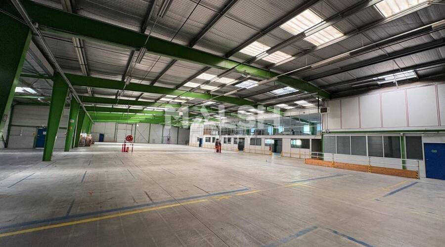 REXIM - Local d'activités - Rhône - Brignais - 2