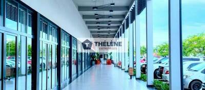 REXIM - Local commercial - Hérault - Montpellier - 3