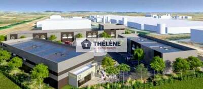 REXIM - Local d'activités - Hérault - Villeneuve-lès-Maguelone - 5