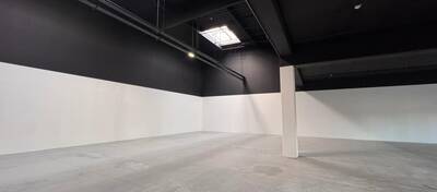 REXIM - Local commercial - Haut-Rhin - Wittenheim - 2