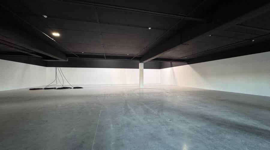 REXIM - Local commercial - Haut-Rhin - Wittenheim - 3