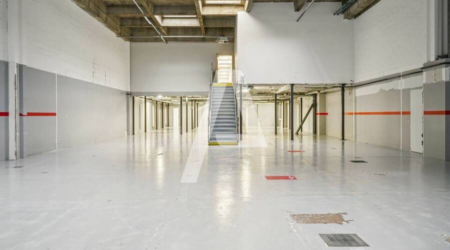 REXIM - Entrepôt - Rungis - 1