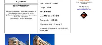 REXIM - Local commercial - Hérault - Montpellier - 5