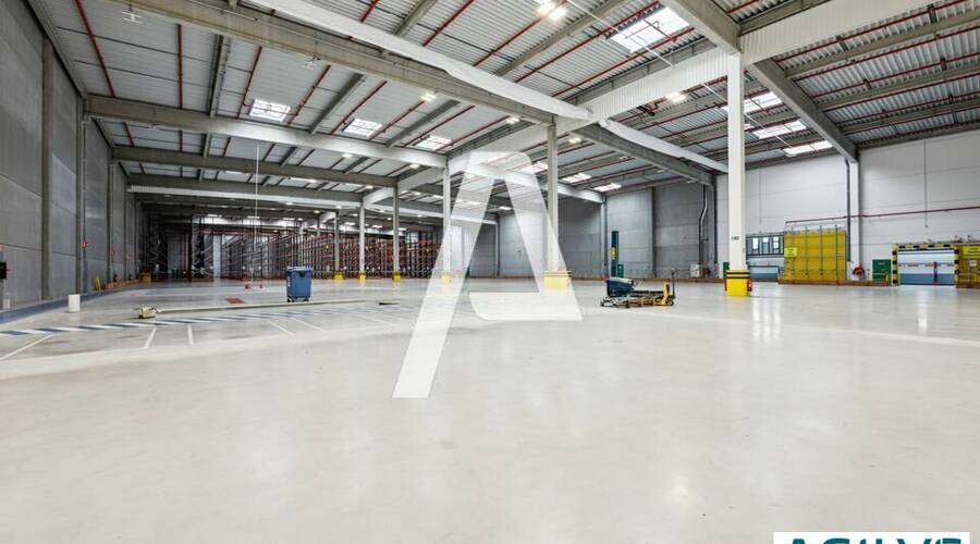 REXIM - Entrepôt - Serris - 3