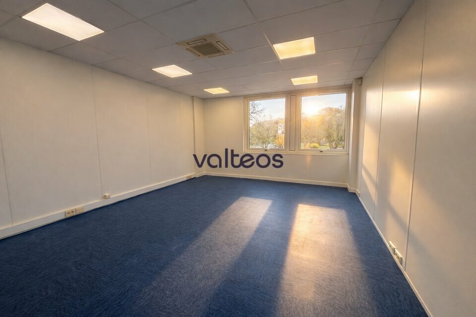 REXIM - Bureau - Haute-Garonne - Balma - 6