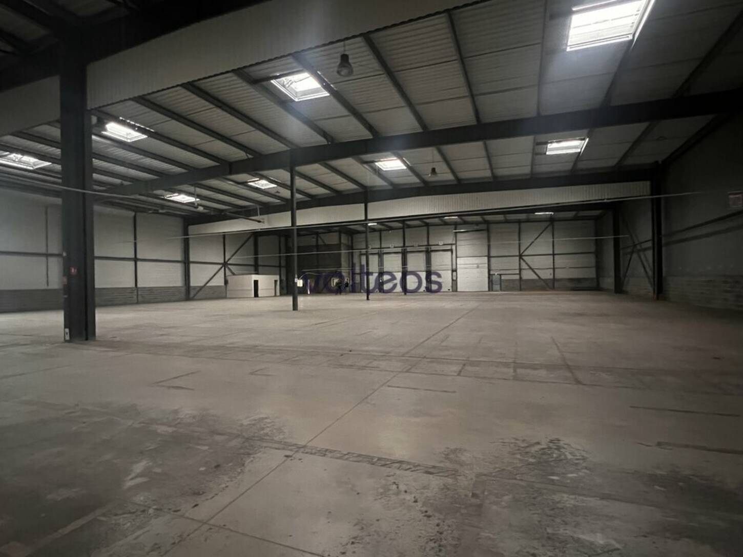 REXIM - Local d'activités - Haute-Garonne - Villeneuve-lès-Bouloc - 2