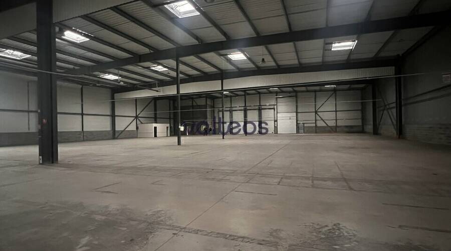 REXIM - Local d'activités - Haute-Garonne - Villeneuve-lès-Bouloc - 2