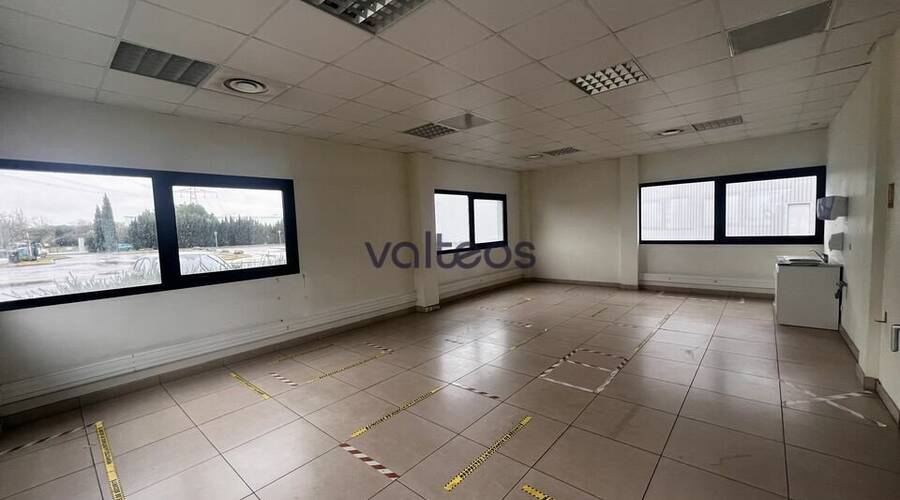 REXIM - Local d'activités - Haute-Garonne - Villeneuve-lès-Bouloc - 5