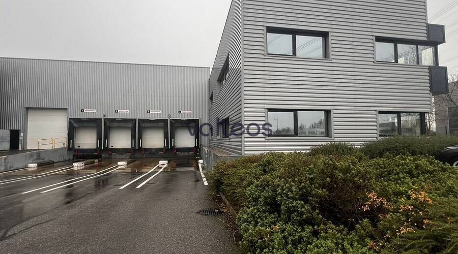 REXIM - Local d'activités - Haute-Garonne - Villeneuve-lès-Bouloc - 6