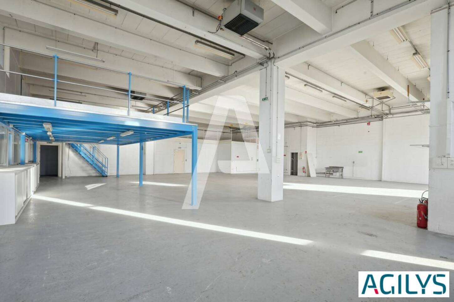 REXIM - Entrepôt - Rungis - 2