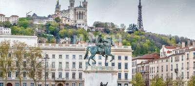 REXIM - Local commercial - Rhône - Lyon - 7