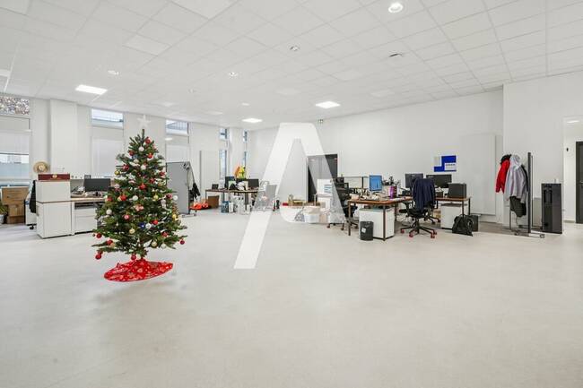 REXIM - Entrepôt - Rungis - 1