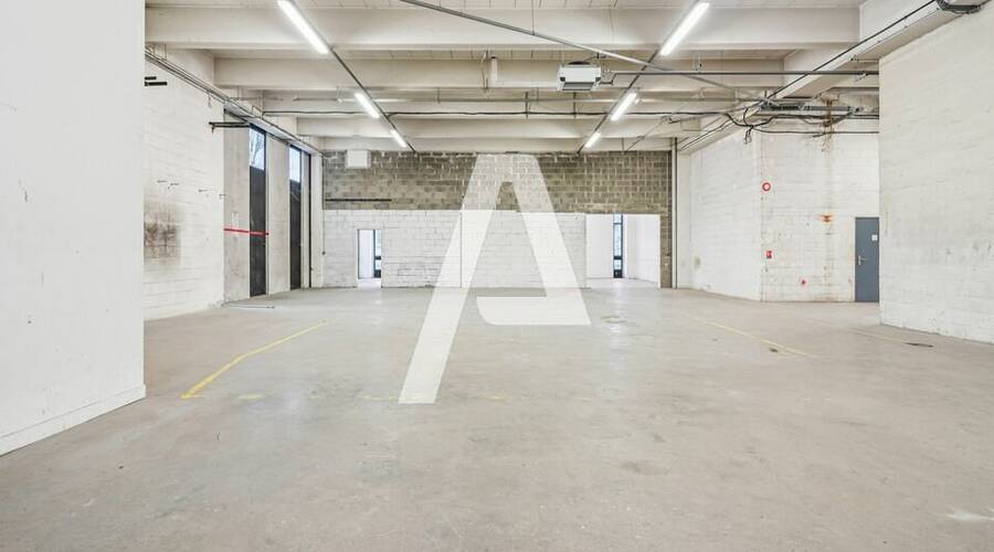 REXIM - Entrepôt - Rungis - 3