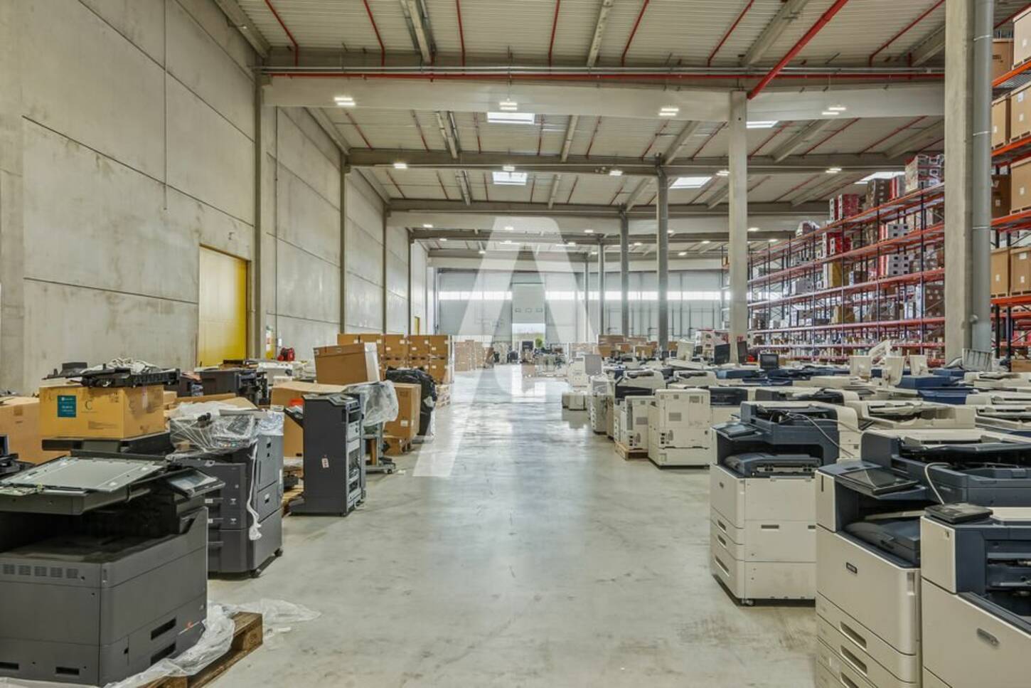 REXIM - Local d'activités - Ferrières-en-Brie - 2