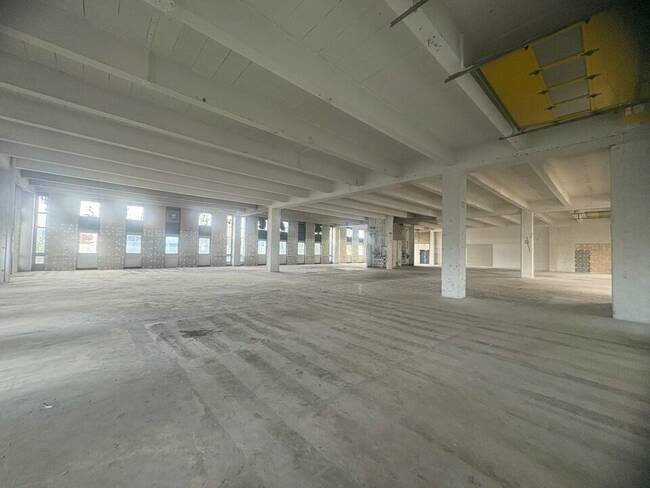 REXIM - Entrepôt - Rungis - 1