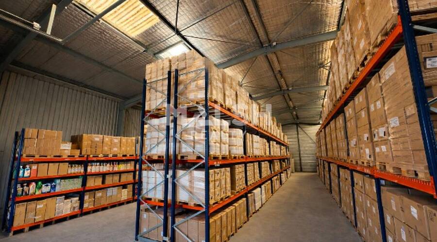 REXIM - Local d'activités - Isère - Saint-Quentin-Fallavier - 3