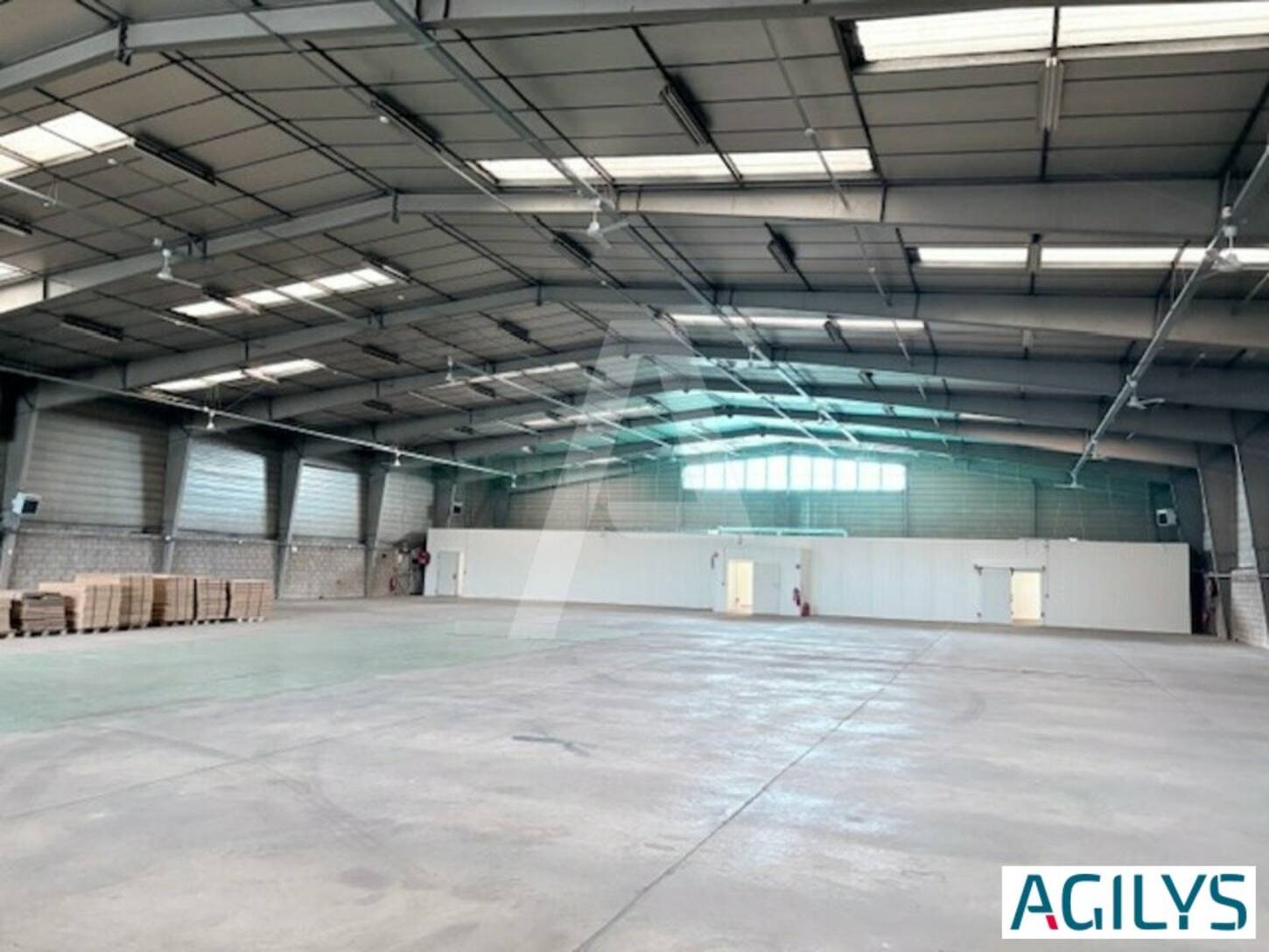 REXIM - Entrepôt - Morangis - 2