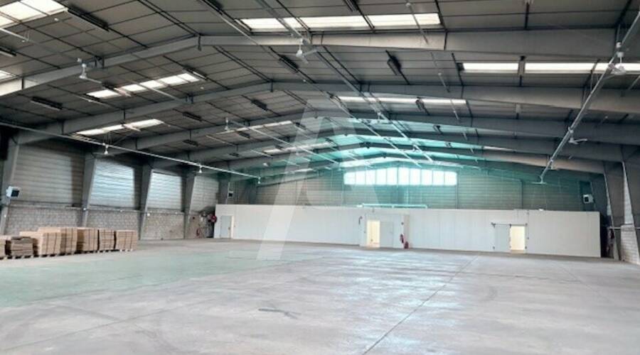 REXIM - Entrepôt - Morangis - 2