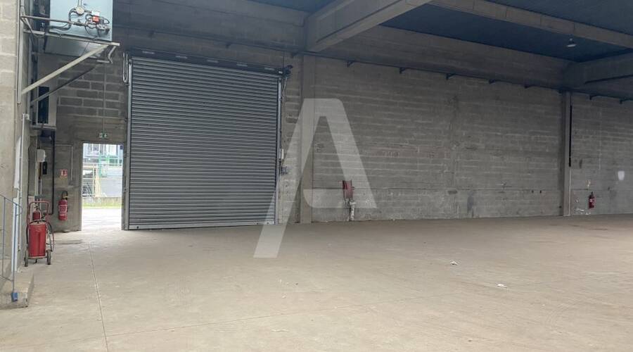 REXIM - Entrepôt - Lagny-sur-Marne - 3