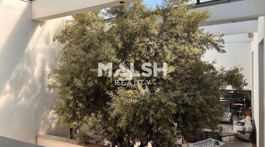 REXIM - Bureau - Rhône - Décines-Charpieu - 8