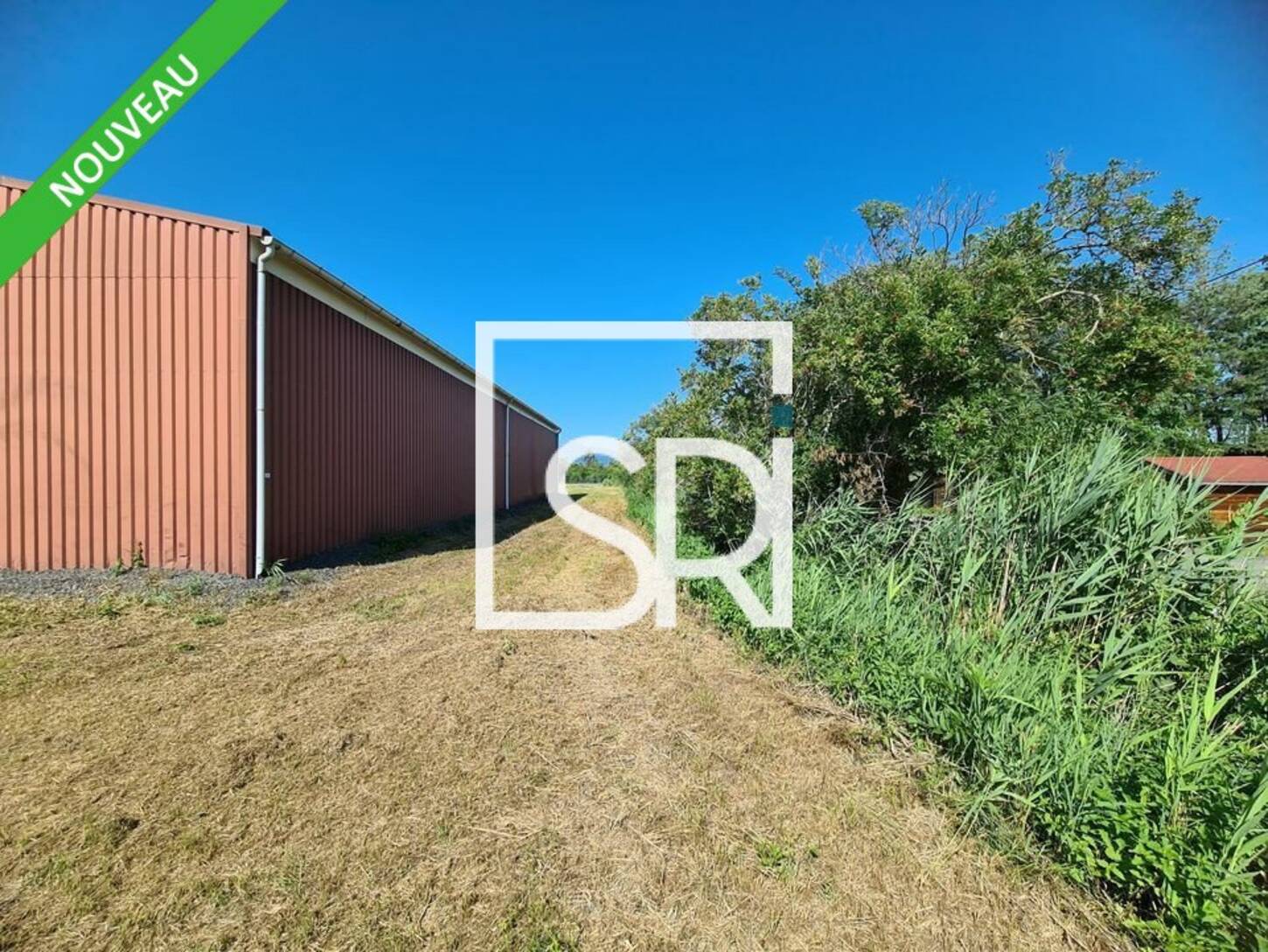 REXIM - Entrepôt - Puy-de-Dôme - Aulnat - 2