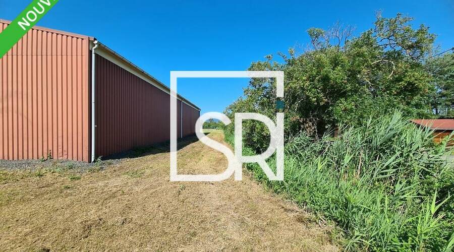 REXIM - Entrepôt - Puy-de-Dôme - Aulnat - 2