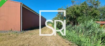 REXIM - Entrepôt - Puy-de-Dôme - Aulnat - 2