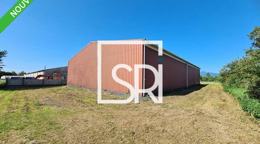 REXIM - Entrepôt - Puy-de-Dôme - Aulnat - 3