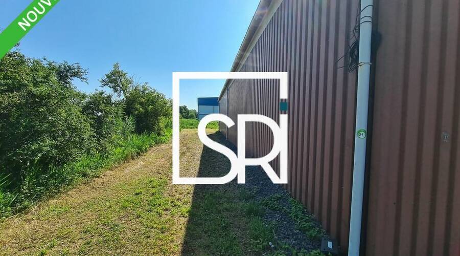 REXIM - Entrepôt - Puy-de-Dôme - Aulnat - 8