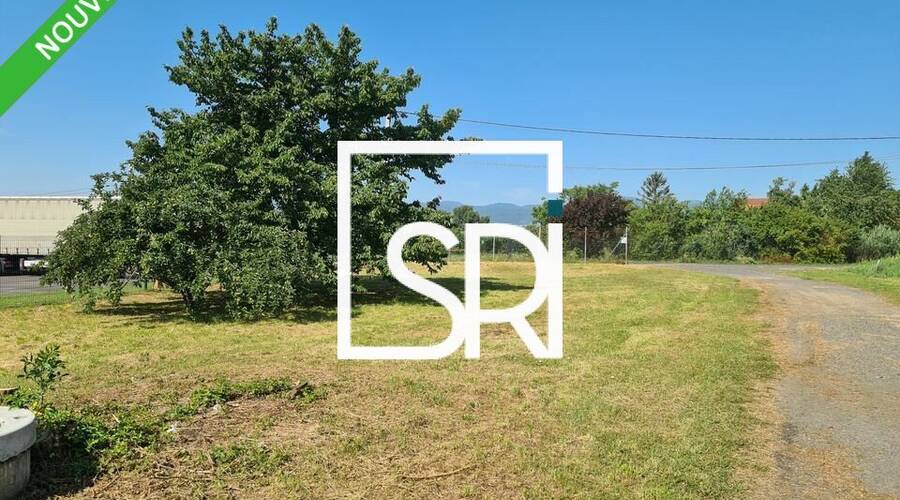 REXIM - Entrepôt - Puy-de-Dôme - Aulnat - 9