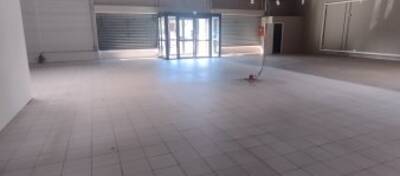 REXIM - Local d'activités - Pyrénées-Orientales - Perpignan - 4