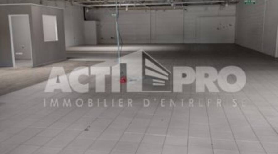 REXIM - Local d'activités - Pyrénées-Orientales - Perpignan - 2