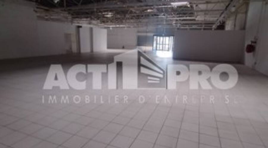 REXIM - Local d'activités - Pyrénées-Orientales - Perpignan - 3