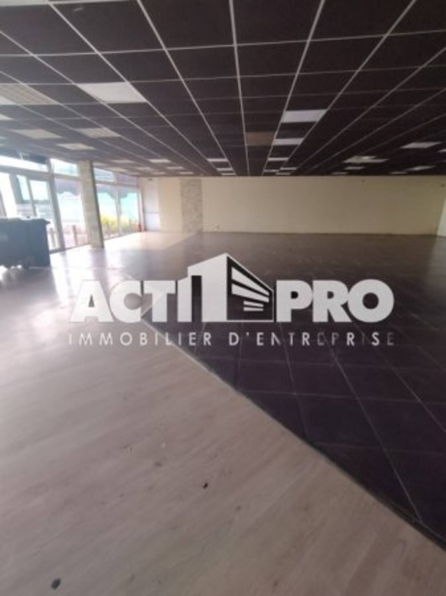 REXIM - Local d'activités - Pyrénées-Orientales - Perpignan - 2