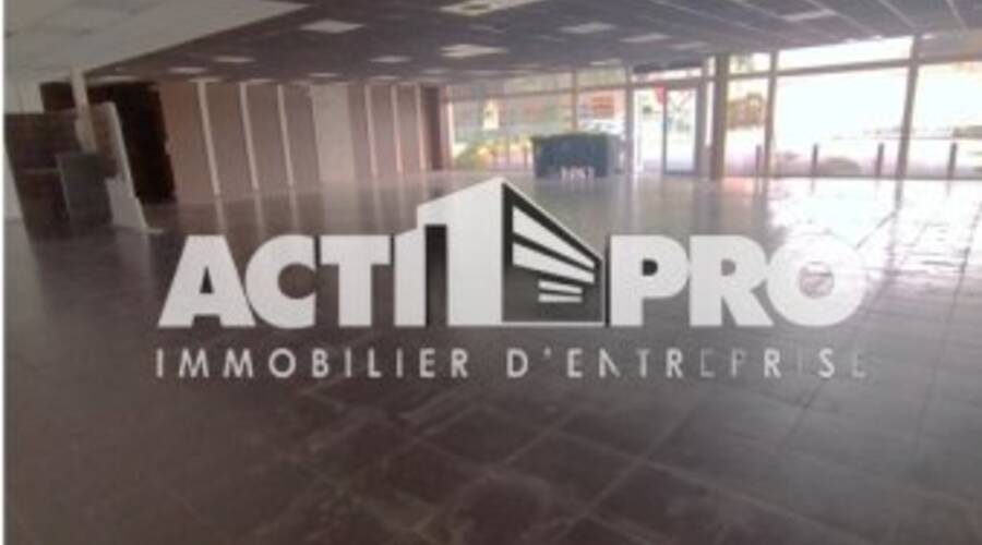 REXIM - Local d'activités - Pyrénées-Orientales - Perpignan - 3