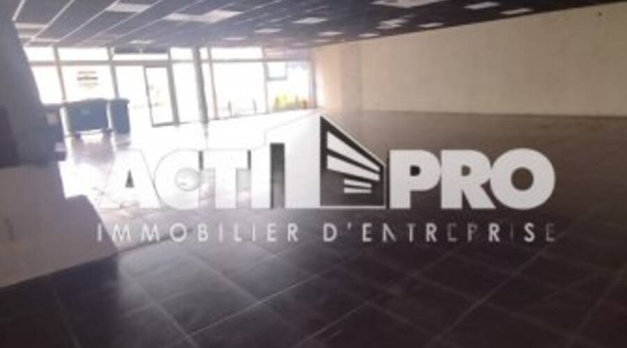 REXIM - Local d'activités - Pyrénées-Orientales - Perpignan - 4