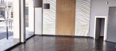 REXIM - Local d'activités - Pyrénées-Orientales - Perpignan - 3