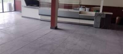 REXIM - Local d'activités - Pyrénées-Orientales - Perpignan - 3