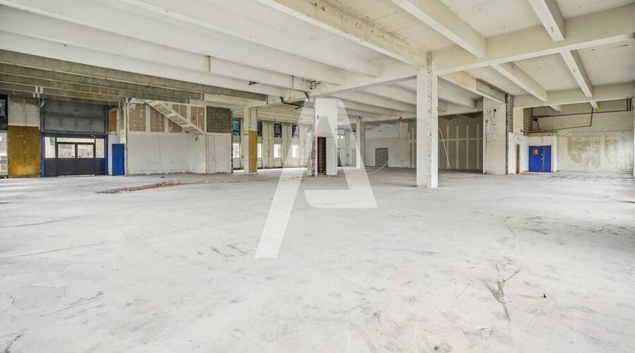 REXIM - Entrepôt - Rungis - 2