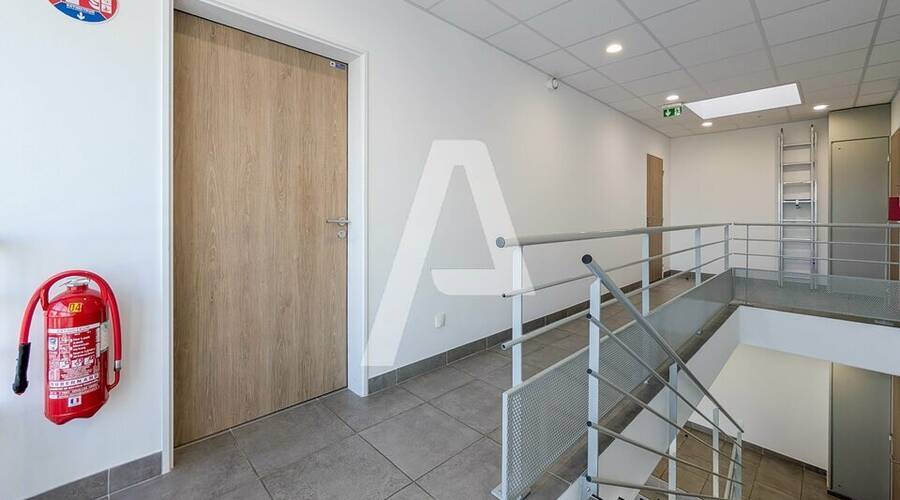 REXIM - Local d'activités - Brétigny-sur-Orge - 8