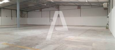 REXIM - Entrepôt - Morangis - 10