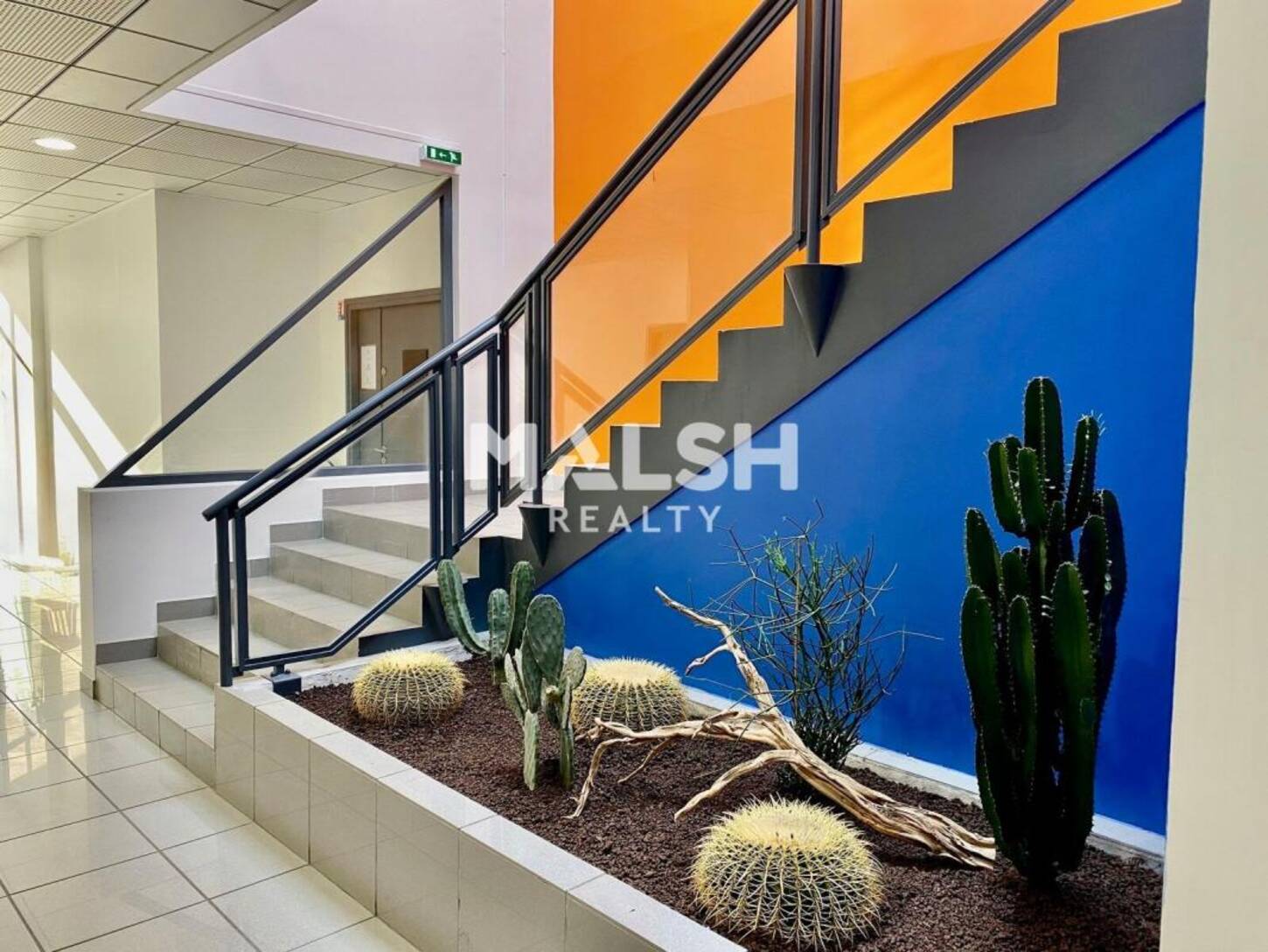 REXIM - Bureau - Rhône - Écully - 2